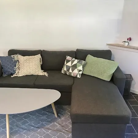 Big Basement With Privat Bathroom Alloggio in famiglia Munkebo